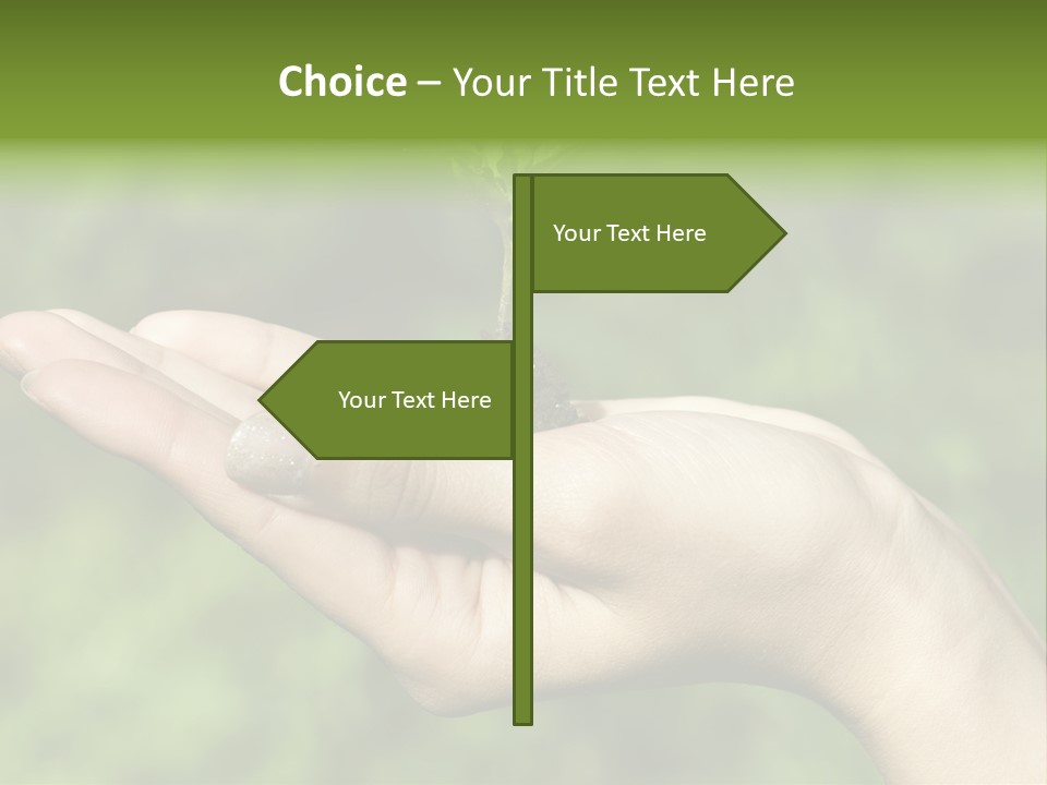 A Person Holding A Small Plant In Their Hand PowerPoint Template