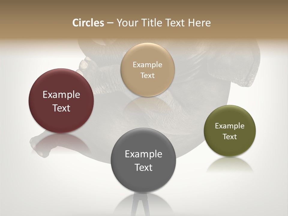 Freedom Faith Concepts PowerPoint Template
