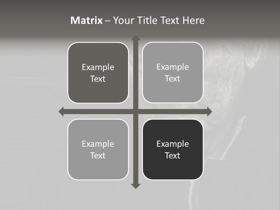 Lady Woman Grandmother PowerPoint Template