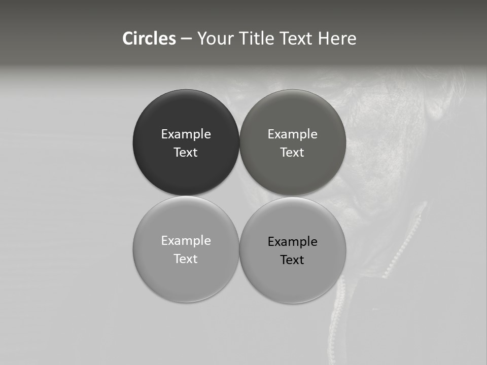 Lady Woman Grandmother PowerPoint Template