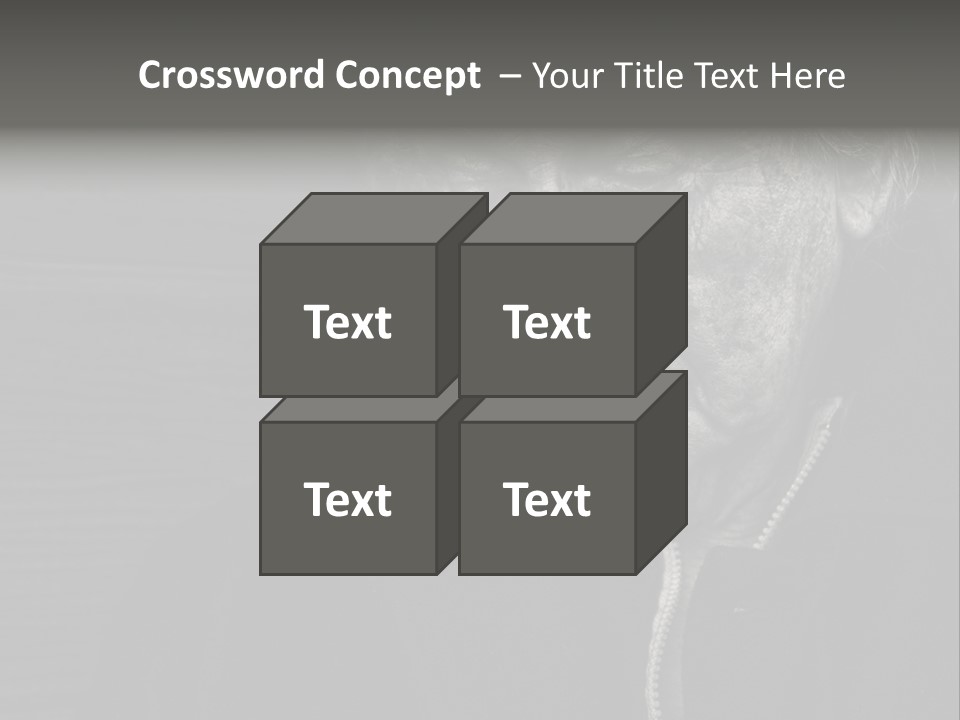 Lady Woman Grandmother PowerPoint Template