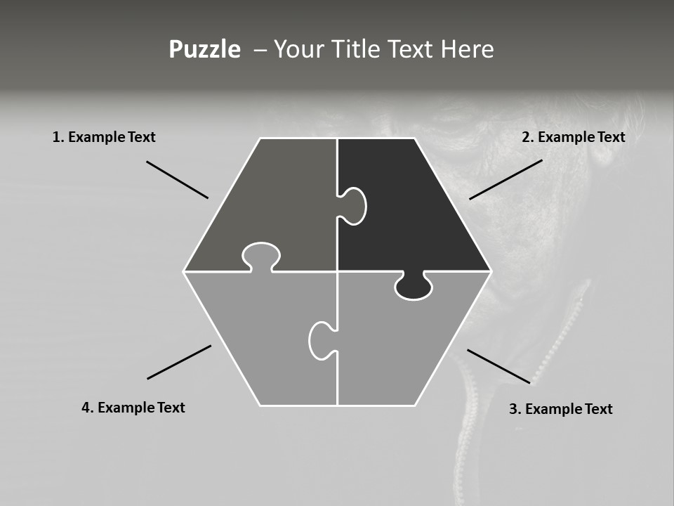 Lady Woman Grandmother PowerPoint Template