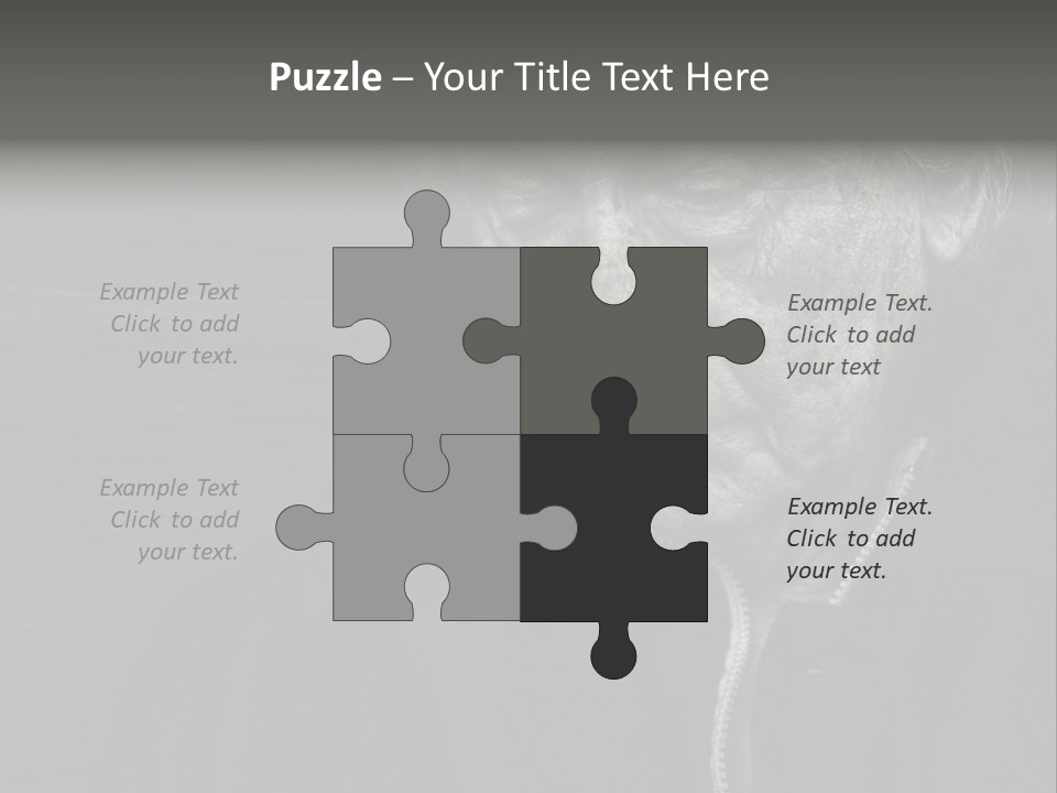 Lady Woman Grandmother PowerPoint Template