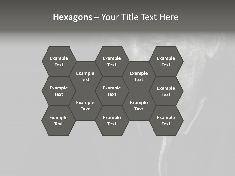 Lady Woman Grandmother PowerPoint Template