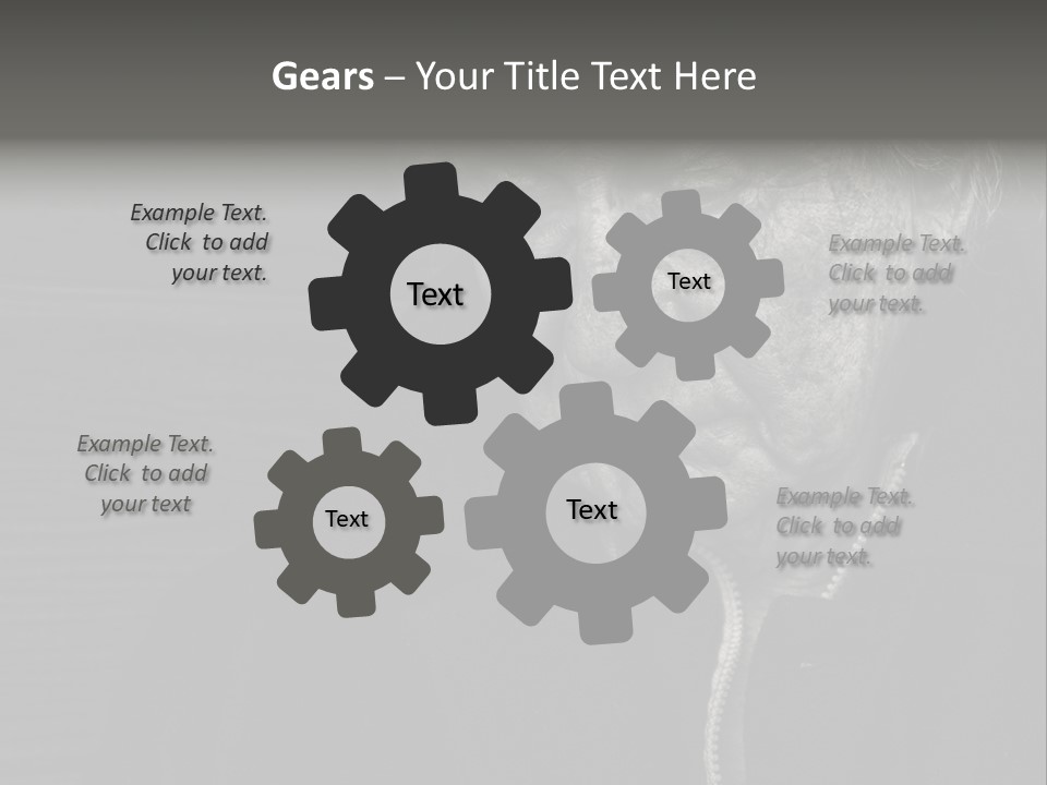 Lady Woman Grandmother PowerPoint Template