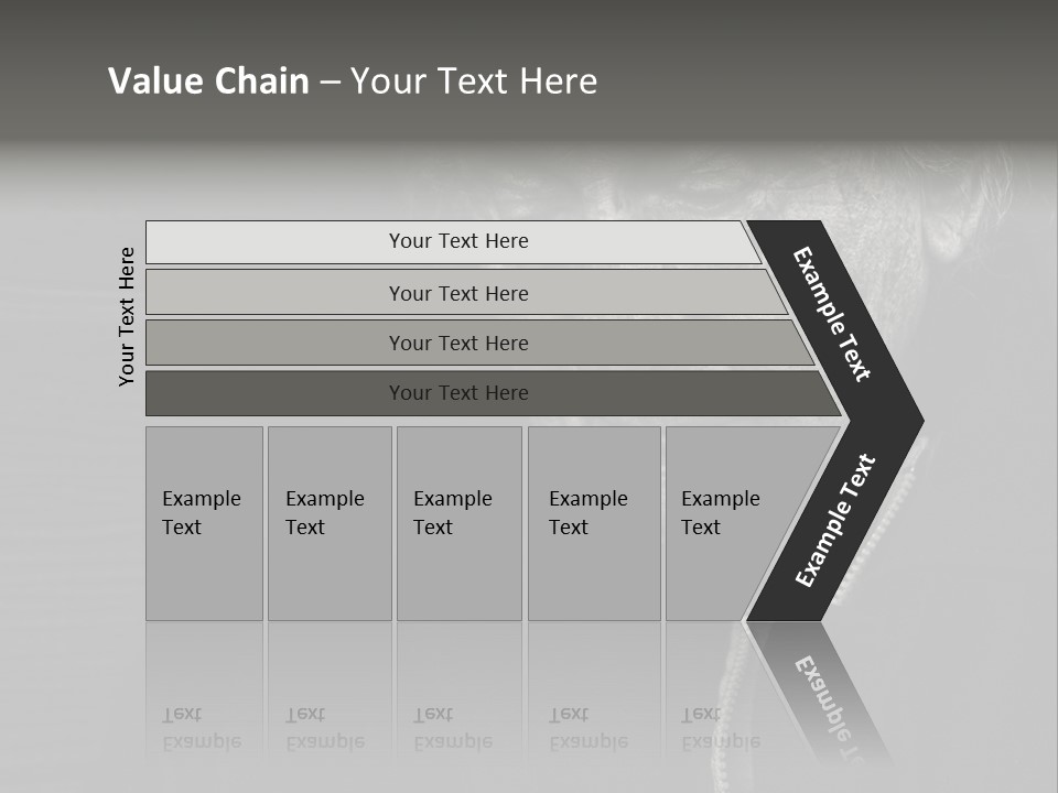 Lady Woman Grandmother PowerPoint Template