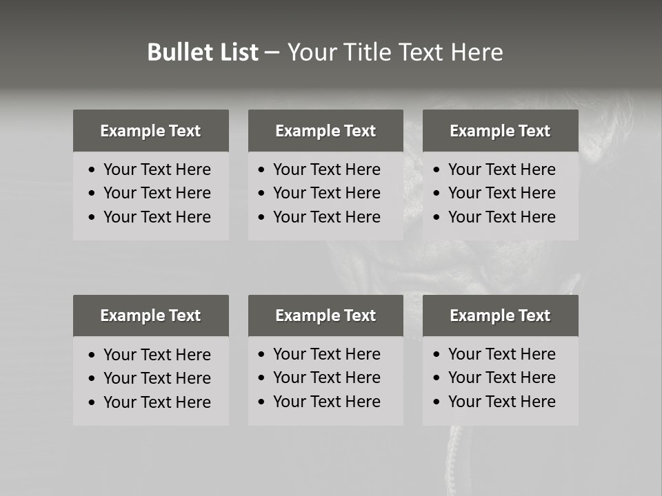 Lady Woman Grandmother PowerPoint Template