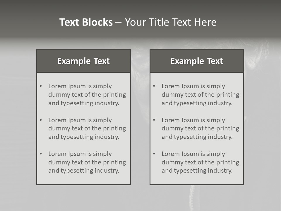 Lady Woman Grandmother PowerPoint Template