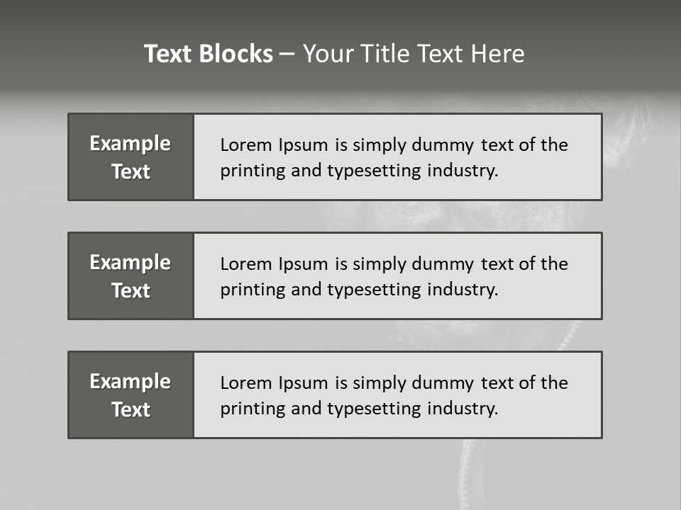 Lady Woman Grandmother PowerPoint Template