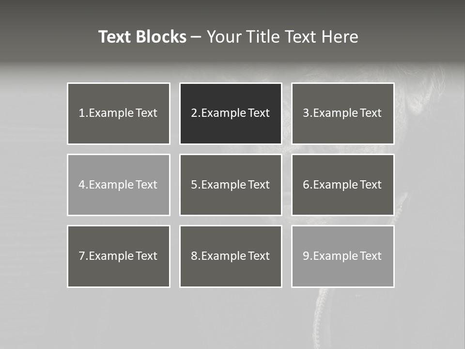 Lady Woman Grandmother PowerPoint Template