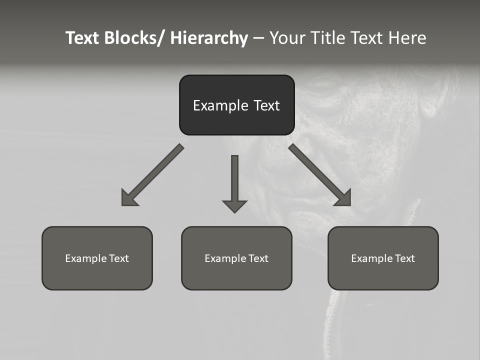 Lady Woman Grandmother PowerPoint Template