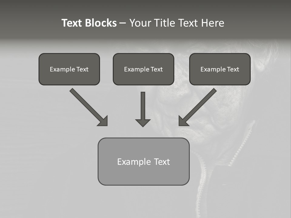 Lady Woman Grandmother PowerPoint Template