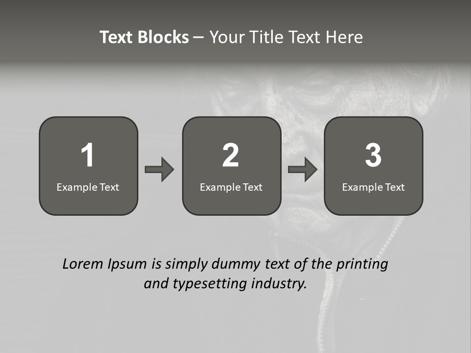 Lady Woman Grandmother PowerPoint Template