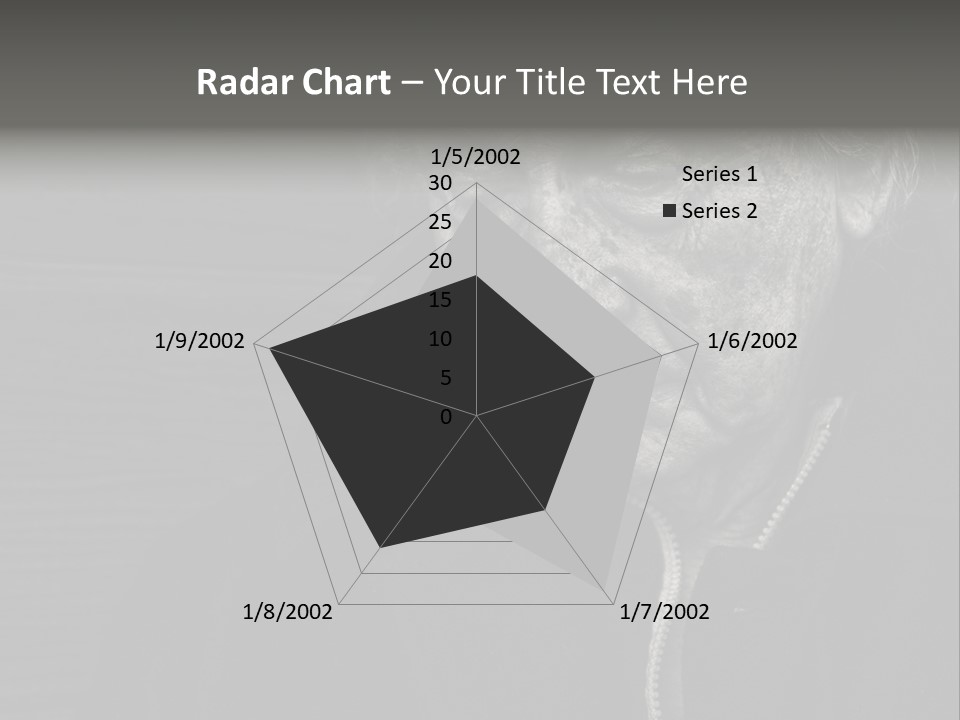 Lady Woman Grandmother PowerPoint Template