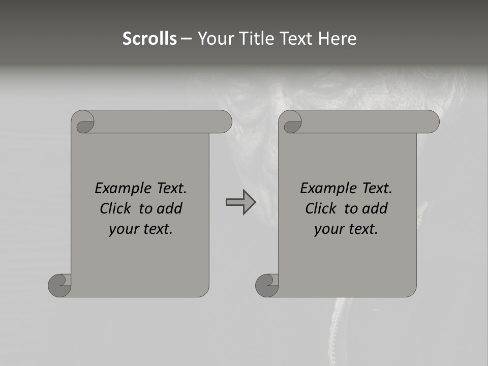 Lady Woman Grandmother PowerPoint Template