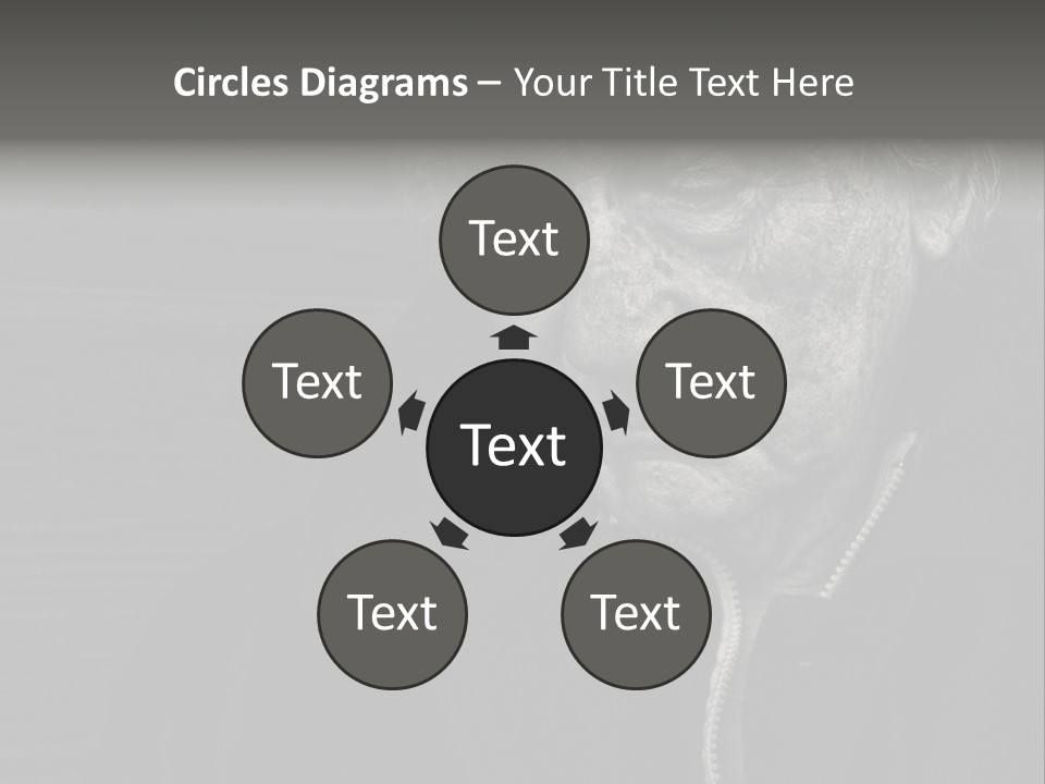 Lady Woman Grandmother PowerPoint Template