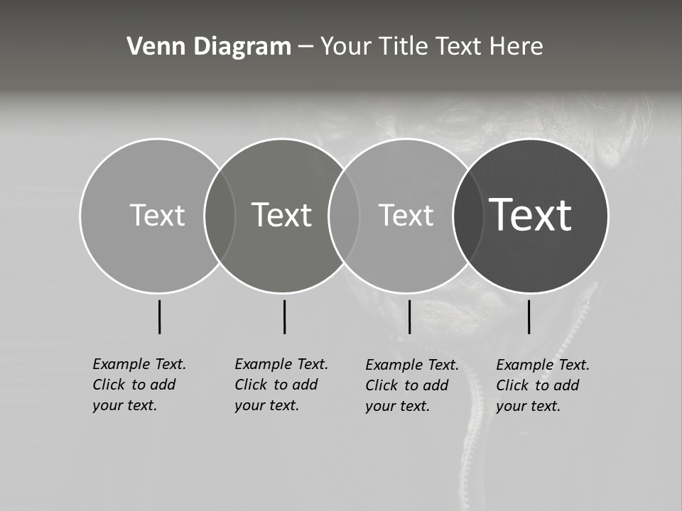 Lady Woman Grandmother PowerPoint Template