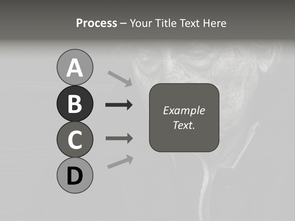 Lady Woman Grandmother PowerPoint Template