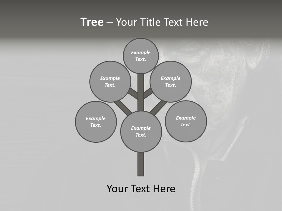 Lady Woman Grandmother PowerPoint Template