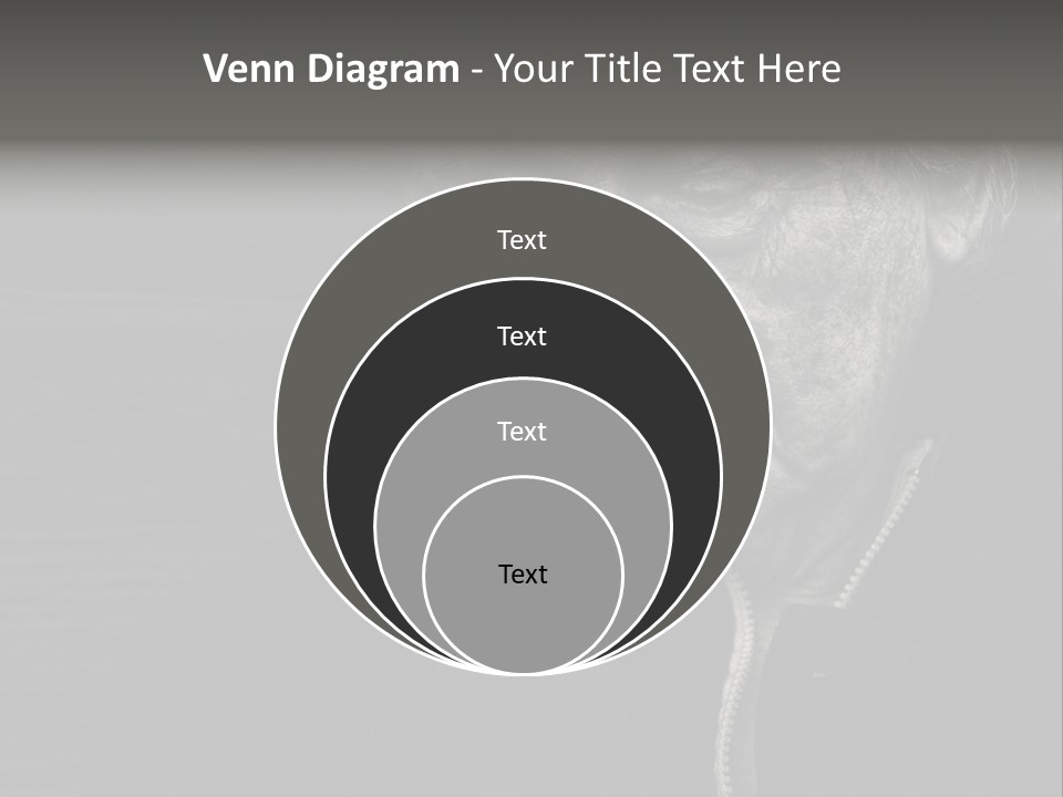 Lady Woman Grandmother PowerPoint Template