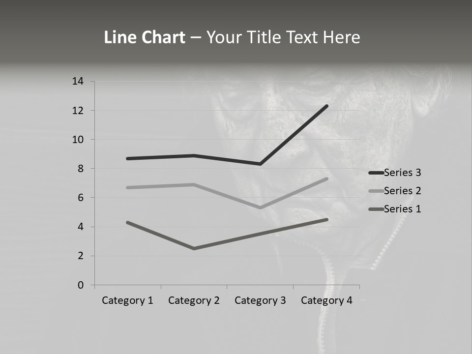 Lady Woman Grandmother PowerPoint Template