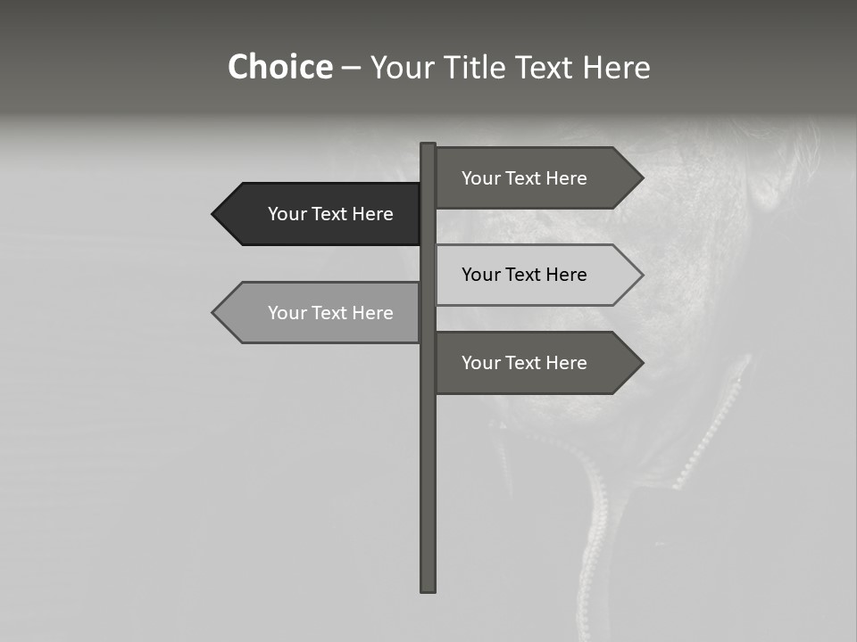 Lady Woman Grandmother PowerPoint Template