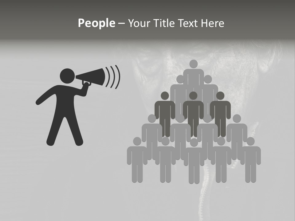 Lady Woman Grandmother PowerPoint Template