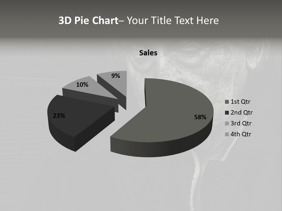 Lady Woman Grandmother PowerPoint Template