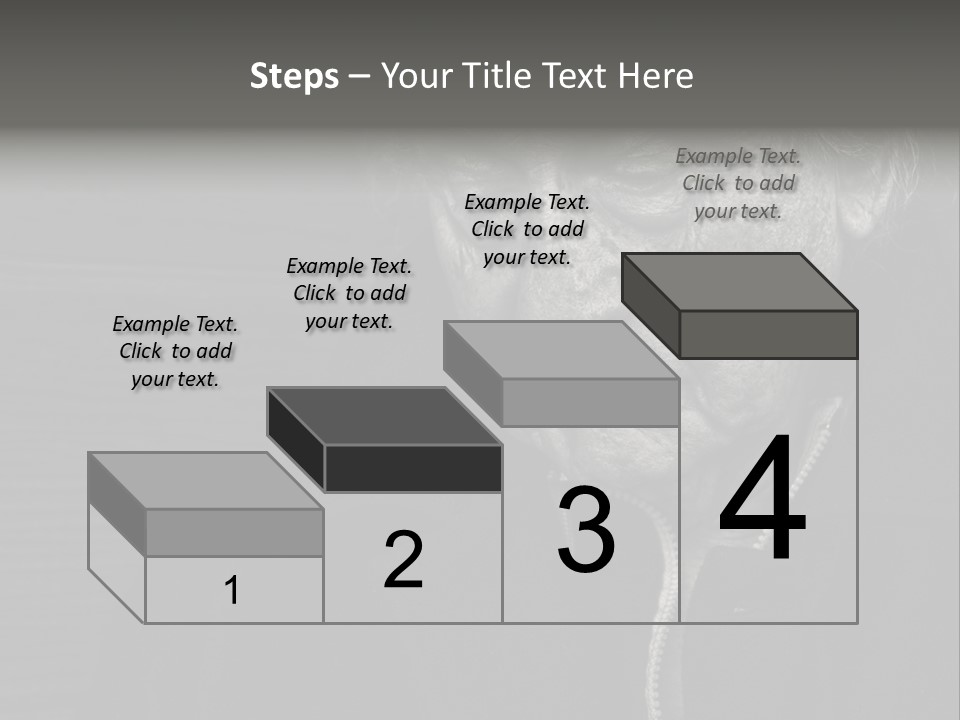 Lady Woman Grandmother PowerPoint Template