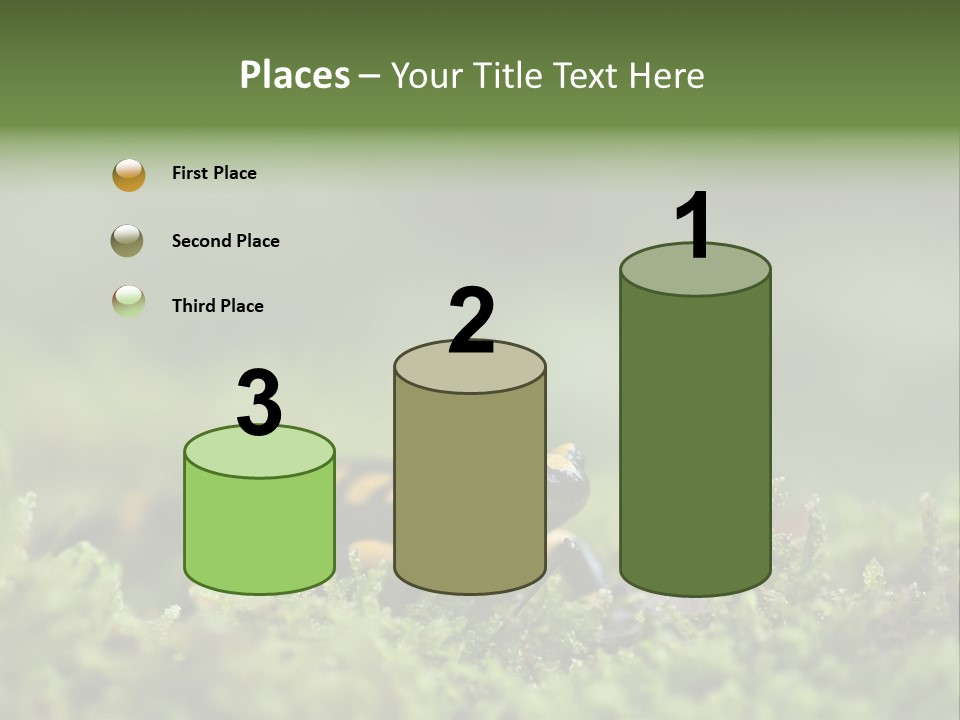Green Grass Nature Foam PowerPoint Template