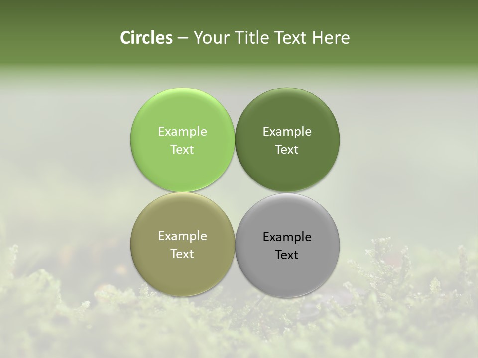 Green Grass Nature Foam PowerPoint Template