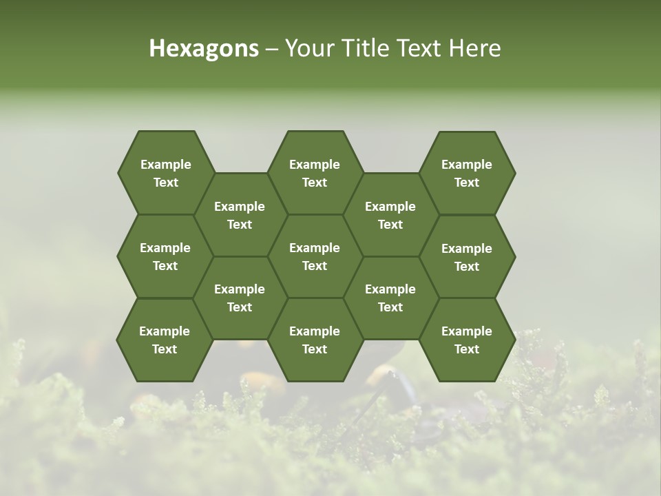 Green Grass Nature Foam PowerPoint Template