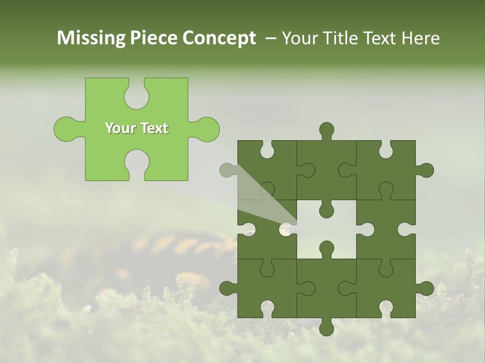 Green Grass Nature Foam PowerPoint Template