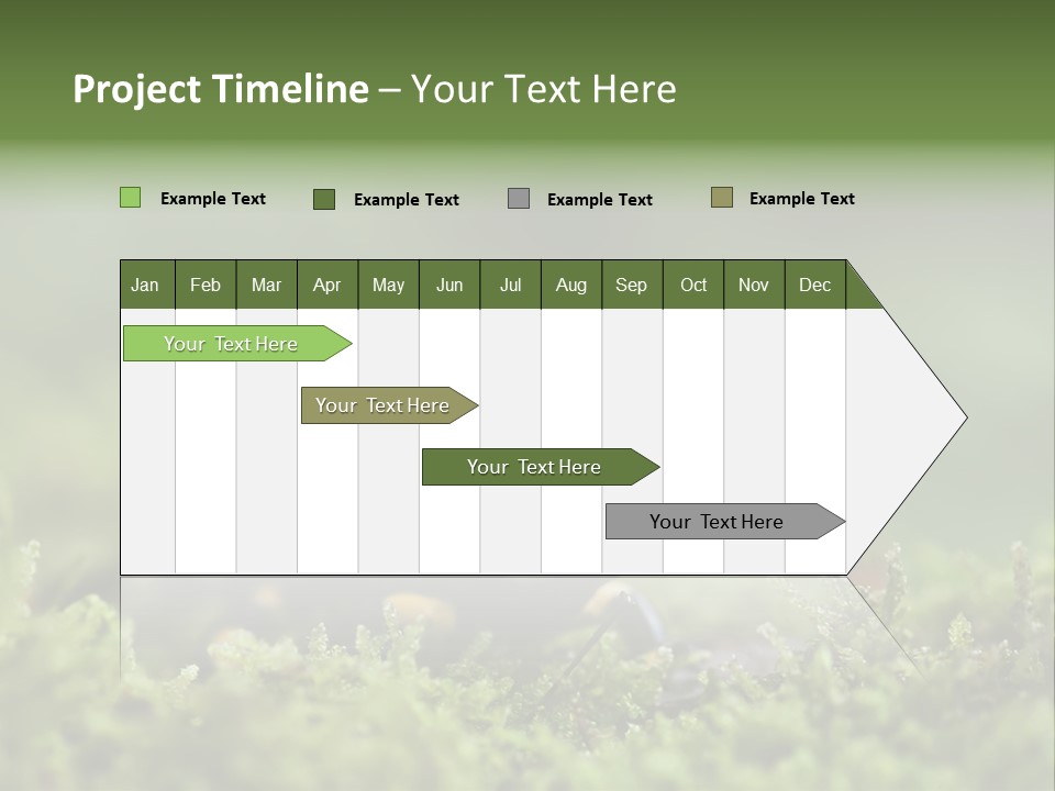 Green Grass Nature Foam PowerPoint Template