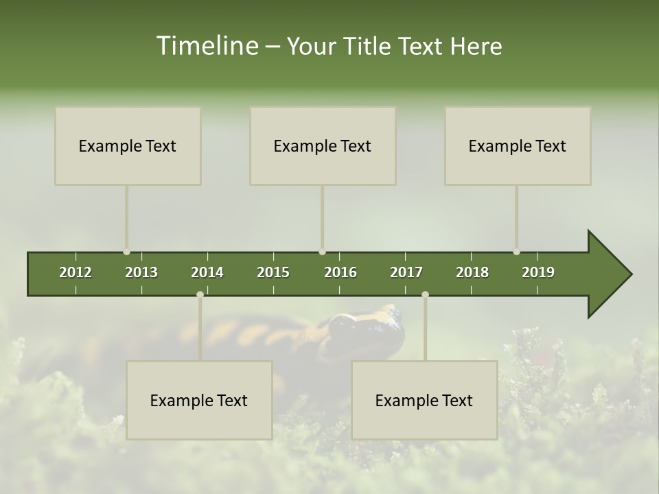 Green Grass Nature Foam PowerPoint Template