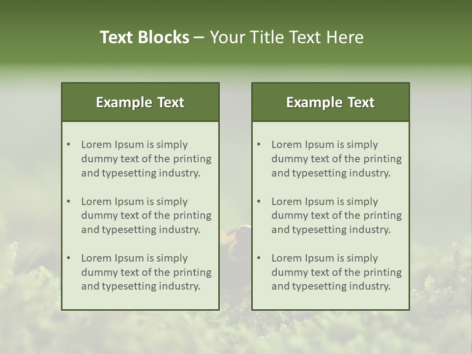 Green Grass Nature Foam PowerPoint Template