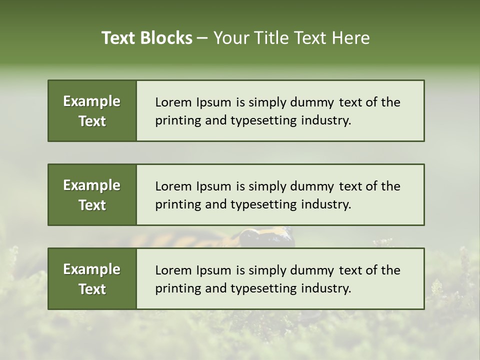Green Grass Nature Foam PowerPoint Template