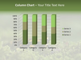 Green Grass Nature Foam PowerPoint Template