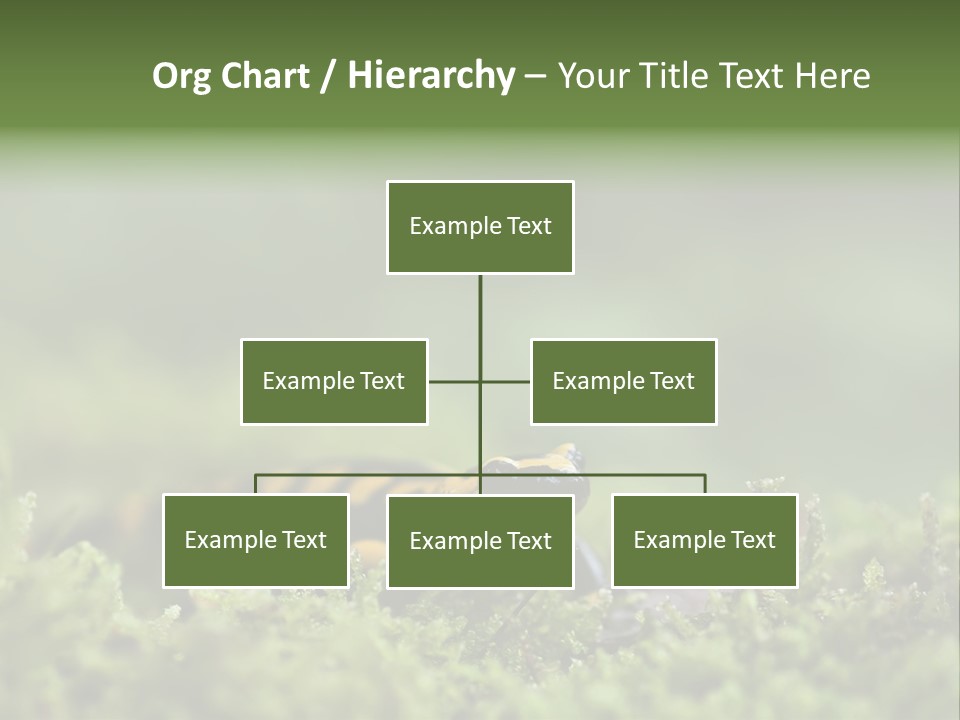 Green Grass Nature Foam PowerPoint Template