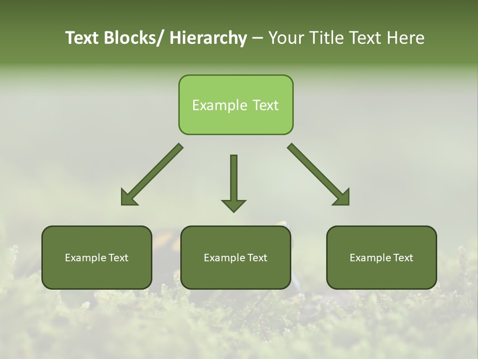 Green Grass Nature Foam PowerPoint Template