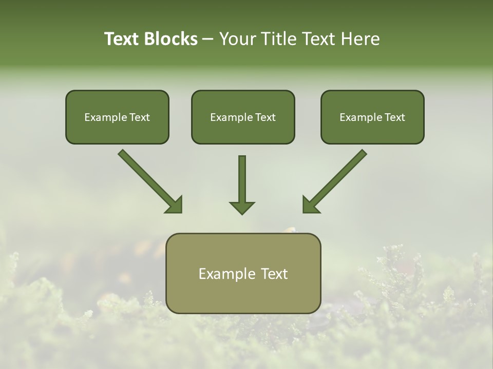 Green Grass Nature Foam PowerPoint Template