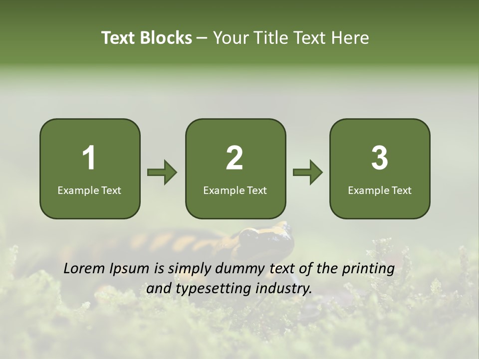 Green Grass Nature Foam PowerPoint Template