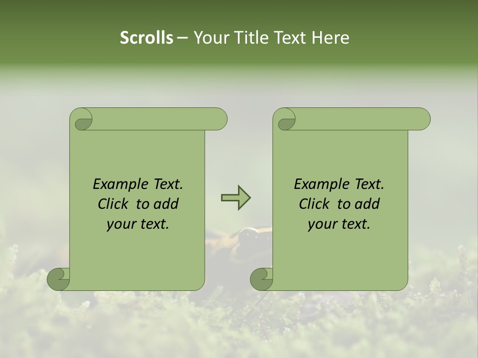 Green Grass Nature Foam PowerPoint Template