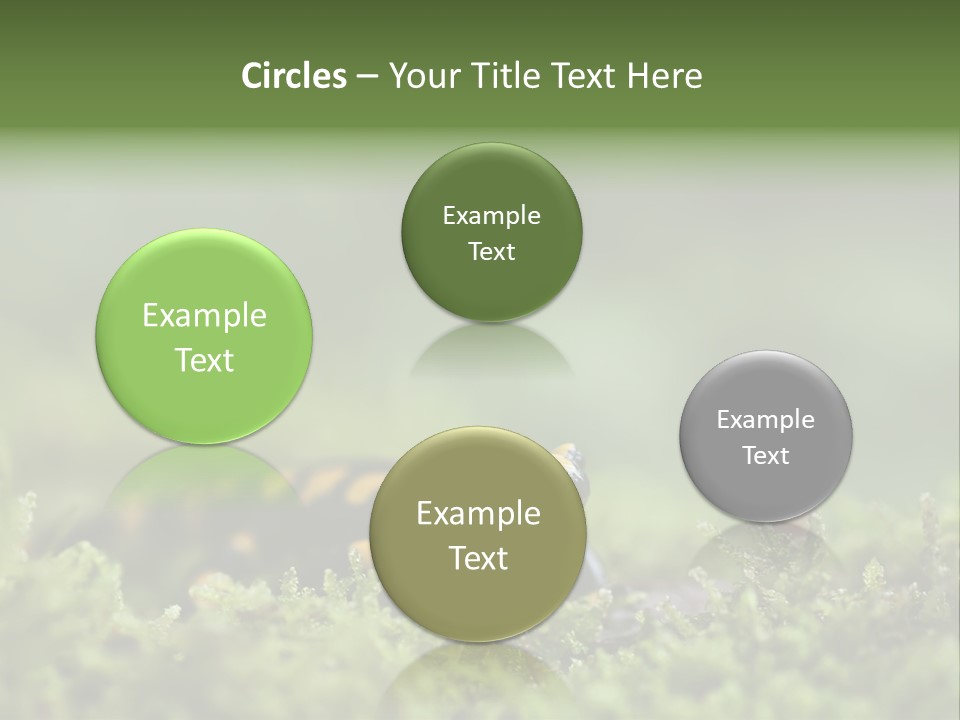 Green Grass Nature Foam PowerPoint Template