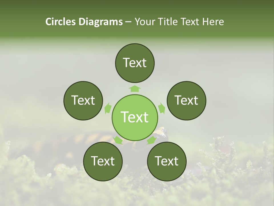 Green Grass Nature Foam PowerPoint Template