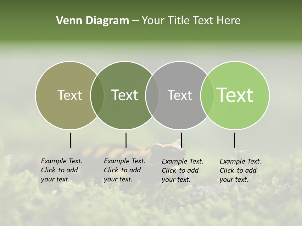 Green Grass Nature Foam PowerPoint Template
