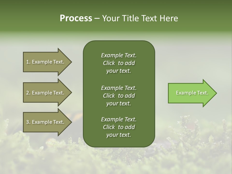 Green Grass Nature Foam PowerPoint Template