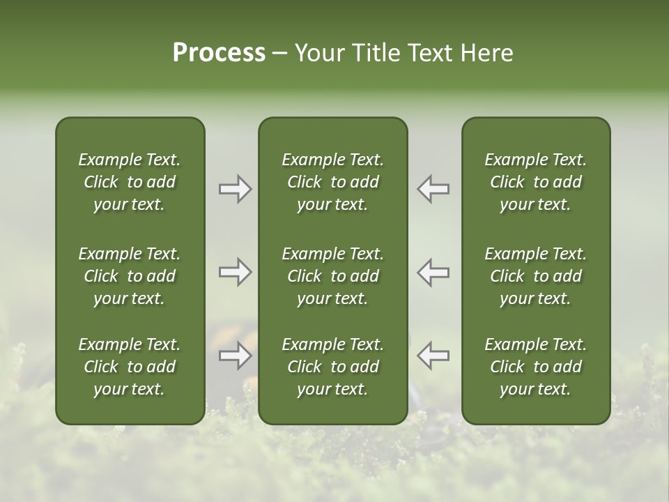 Green Grass Nature Foam PowerPoint Template