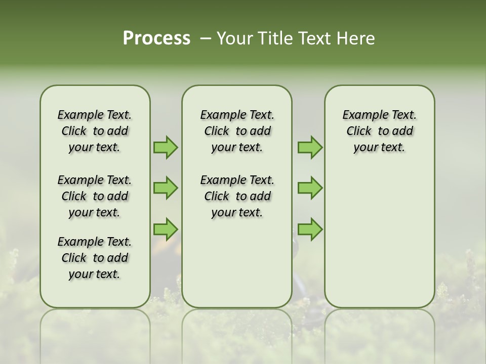 Green Grass Nature Foam PowerPoint Template
