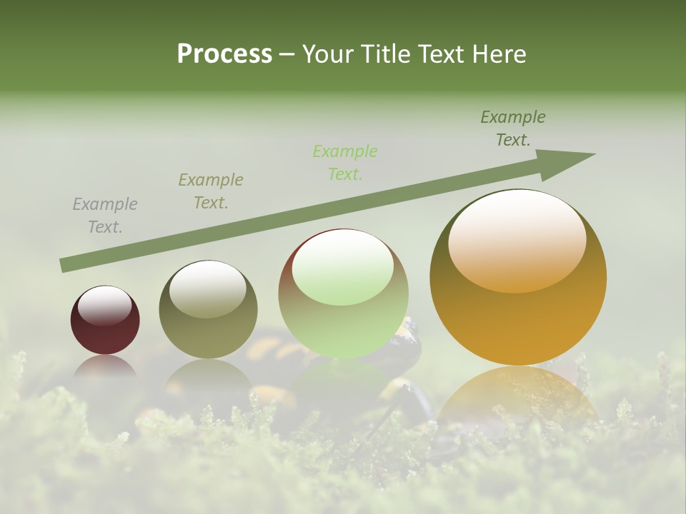 Green Grass Nature Foam PowerPoint Template